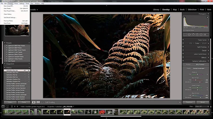 Camera Calibration in Lightroom 5