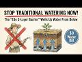 Traditional Japanese Gardening That Uses Almost No Water (A Forgotten Farming Method)