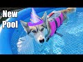 SHELBY BIRTHDAY POOL PARTY