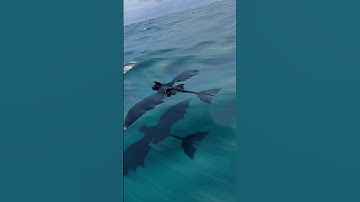 Weight Map Blender Wave Modifier | Toothless Animation