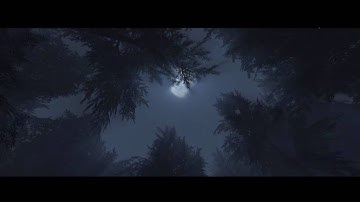 Crysis  -Night time Forest map!