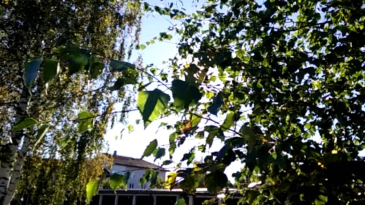 Framelapse test: 12 minutes in 2 minutes