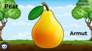 İngilizce Meyveler / İngilizce Meyveleri Öğreniyorum / Eğitici Video