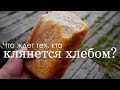 Можно ли клясться чем-либо помимо Аллаха?