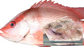 How to bake a Whole Snapper