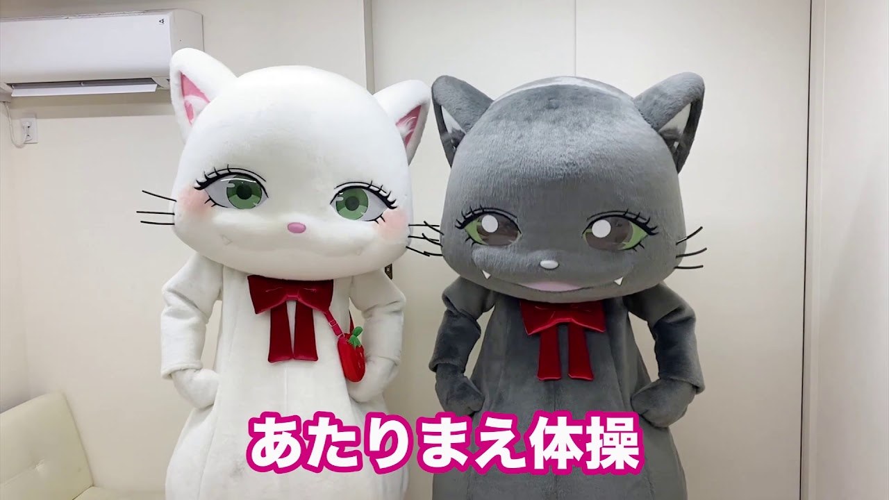 アズにゃ様のご注文ベジです。 にゃす近すぎるにゃ〜✝️✝️ - YouTube
