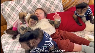 3 Monkeys & a human baby in bed 😂😍♥️