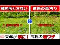 【裏ワザ】来年が激変!種を落とさない究極の草刈り術