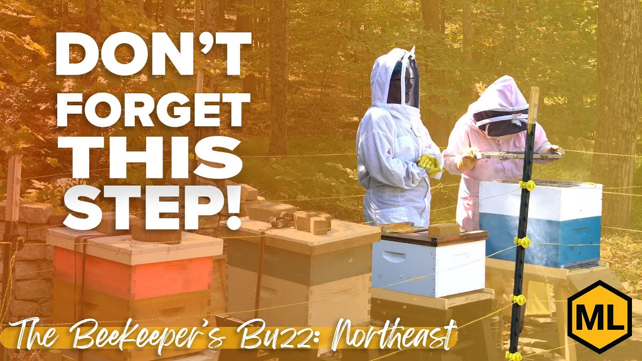 Don't Skip This Beekeeping Step! Northeast Beekeeping in October - YouTube