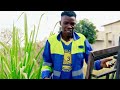 Godie Mrewa Zivo Zharry Zhorizho Ft Godie Mrewa Official Video Godie Mrewa Zivo Zharry Zhorizho Ft Godie Mrewa Official Video