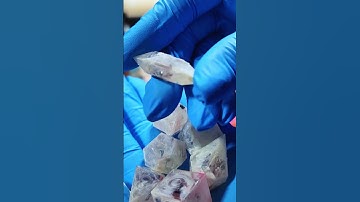 Dice experiment with ink and blanks #dice