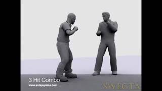 Bully Beta Animations
