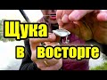 БЕЗ РЫБЫ НЕ ОСТАНЕШЬСЯ. Ловля щуки на цикаду.