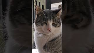 Elegantno Popunjen Resimi