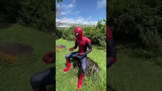 Spider-Man Gets Bullied