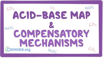 Acid-base map and compensatory mechanisms