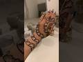2024 New Mehndi Design Henna Mehandi Hennadesign 