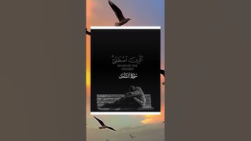 سورة النمل - بصوت القارئ ياسر الدوسري