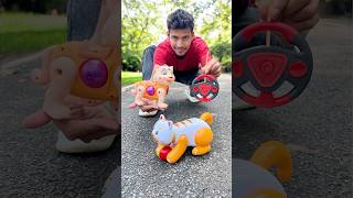 2 New Remote Control Rc Cat Unboxing #viral
