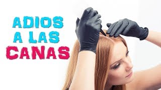 Como combatir las canas 7 REMEDIOS CASEROS