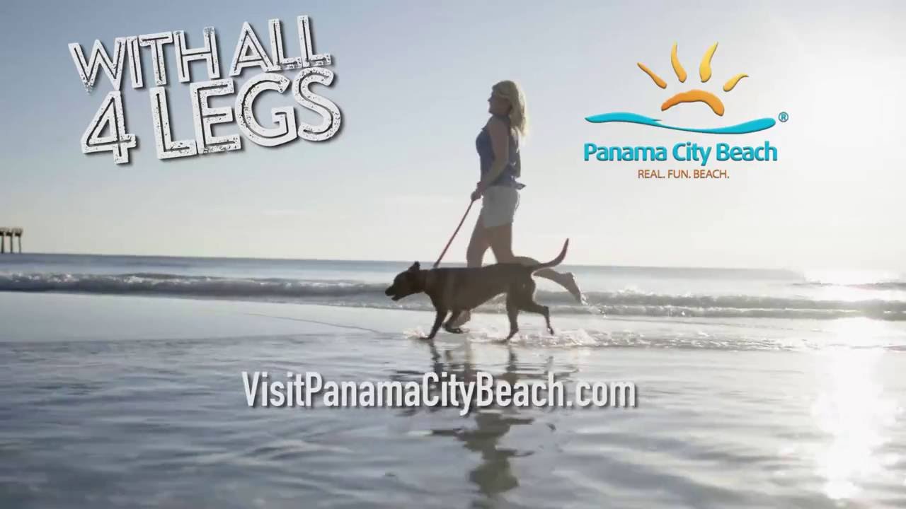 Dog Friendly Panama City Beach Youtube