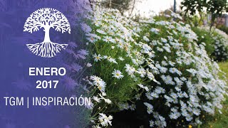 Monthly Update January 2017 - The Garden Molleda Inspiración