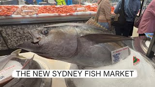 A Walk Around The New Sydney Fish Market  