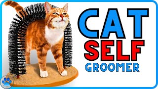 Create Your Own Cat Self Grooming Tool on a Budget