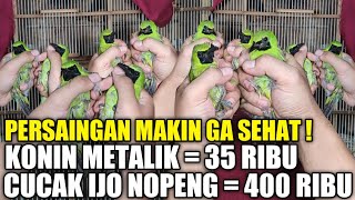 Download Lagu PRAMUKA MEMBARA ! CUMA MAS SENDY YG NEKAD JUAL 90 EKOR CUCAK IJO \u0026 KONIN METALIK SEMURAH INI MP3 Download Lagu PRAMUKA MEMBARA ! CUMA MAS SENDY YG NEKAD JUAL 90 EKOR CUCAK IJO \u0026 KONIN METALIK SEMURAH INI MP3