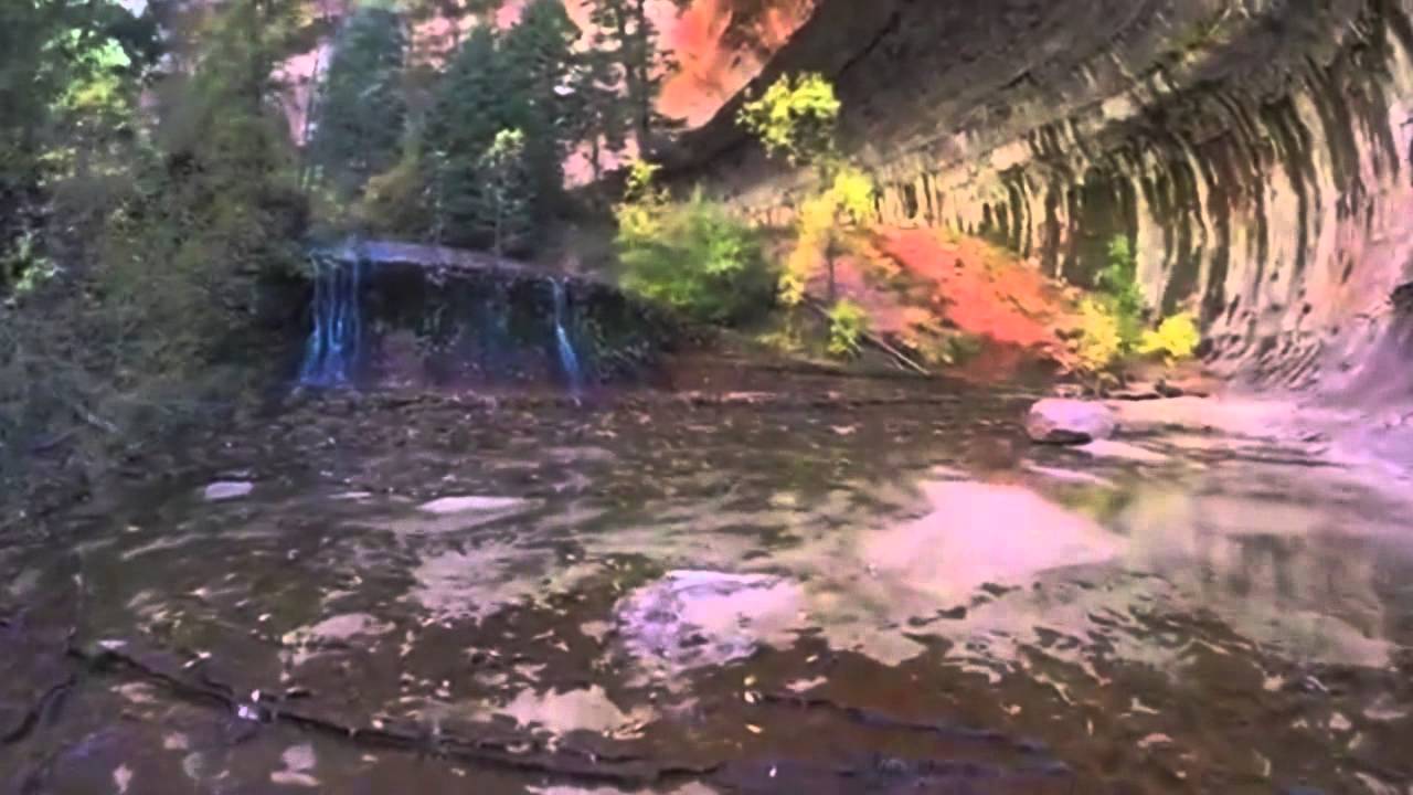 Does Universal Require Park Reservations