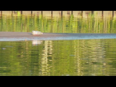 'Abundance of caution' | Anacostia River swimming event postponed due ...