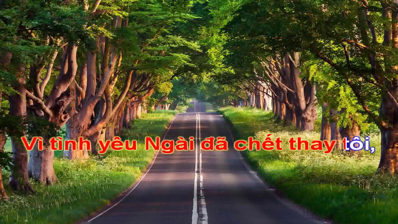 CON ĐƯỜNG SỰ SỐNG (Karaoke) | TVCHH 304 Tone E♭m