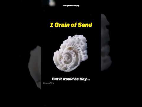 If The Moon Was A Black Hole How Big Would It Be