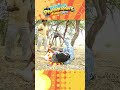 Dead Body Photoshoot 🤣😂 #Funnyreels #Comedyshorts #funnyshorts #comedyvideos