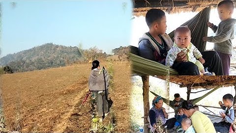 kos tsev neeg mus luaj nroj teb qos ntoo.ntuj kub heev li