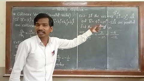 Vector Algebra Part-9 || Collinear Vectors ||