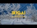 IKIGAI: The Shin Biyajima Story