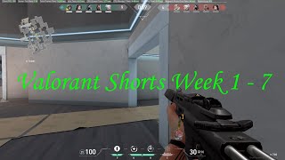 Valorant Shorts Week 1 - 7