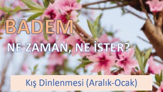 BADEM NE ZAMAN, NE İSTER? | Kış Dinlenmesi (Aralık – Ocak)
