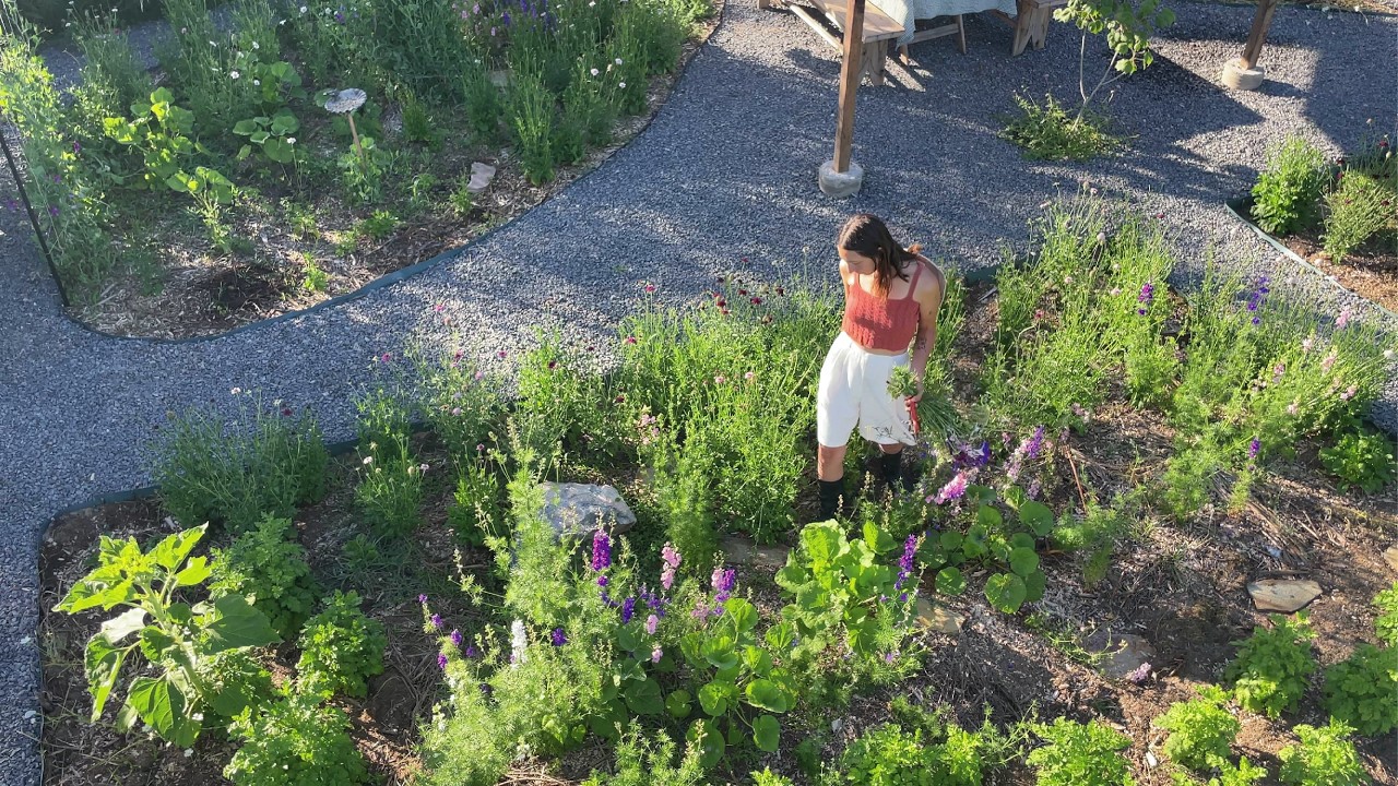 UNA HERMOSA TRANSFORMACIÓN: ¡Así Renovamos Nuestro Jardín en Solo 4 Meses!