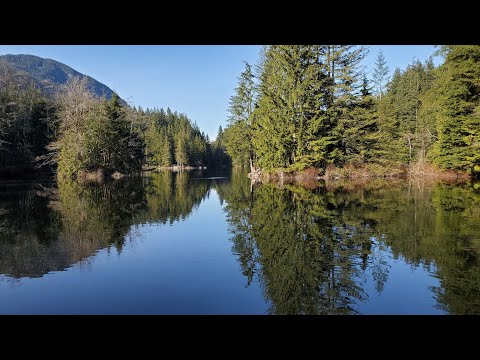 Video: Vadas į Lynn Canyon parką Vankuveryje, BC