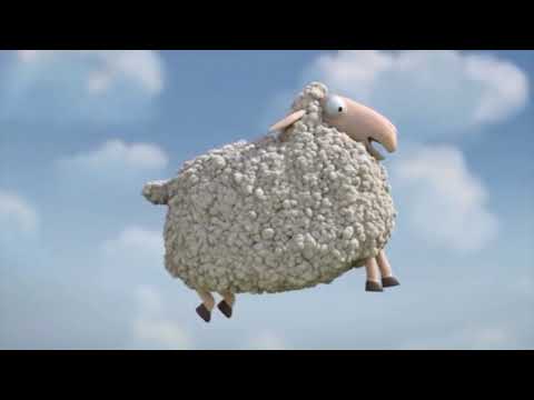 komik kuzular kuzu sesi koyunlar funny lambs  lamb sound