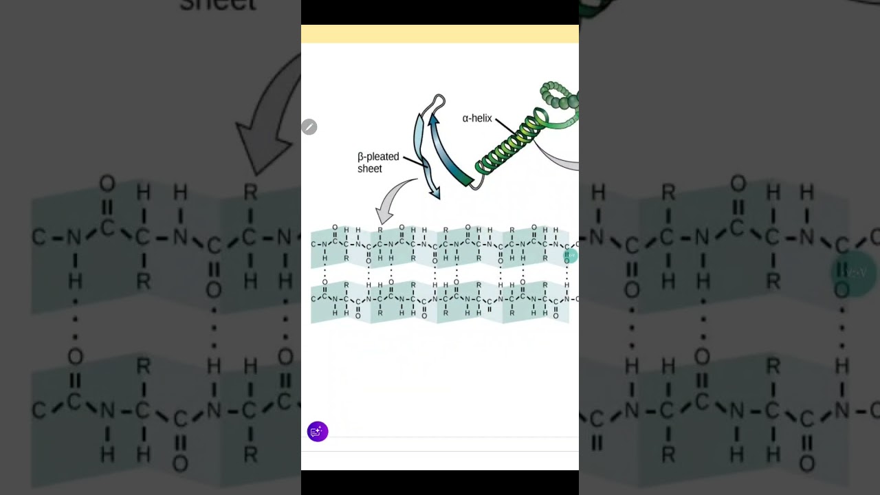 ١٩ كانون الأول ٢٠٢٥