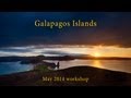 Galapagos Islands Photography Workshop