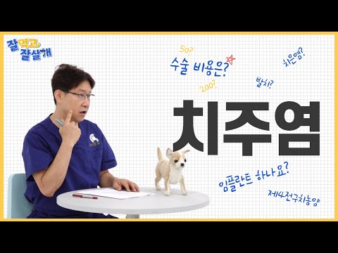 ❘ 잘 먹고 잘 살 <strong>개</strong> <strong>EP</strong>.04 ❘ 치주염