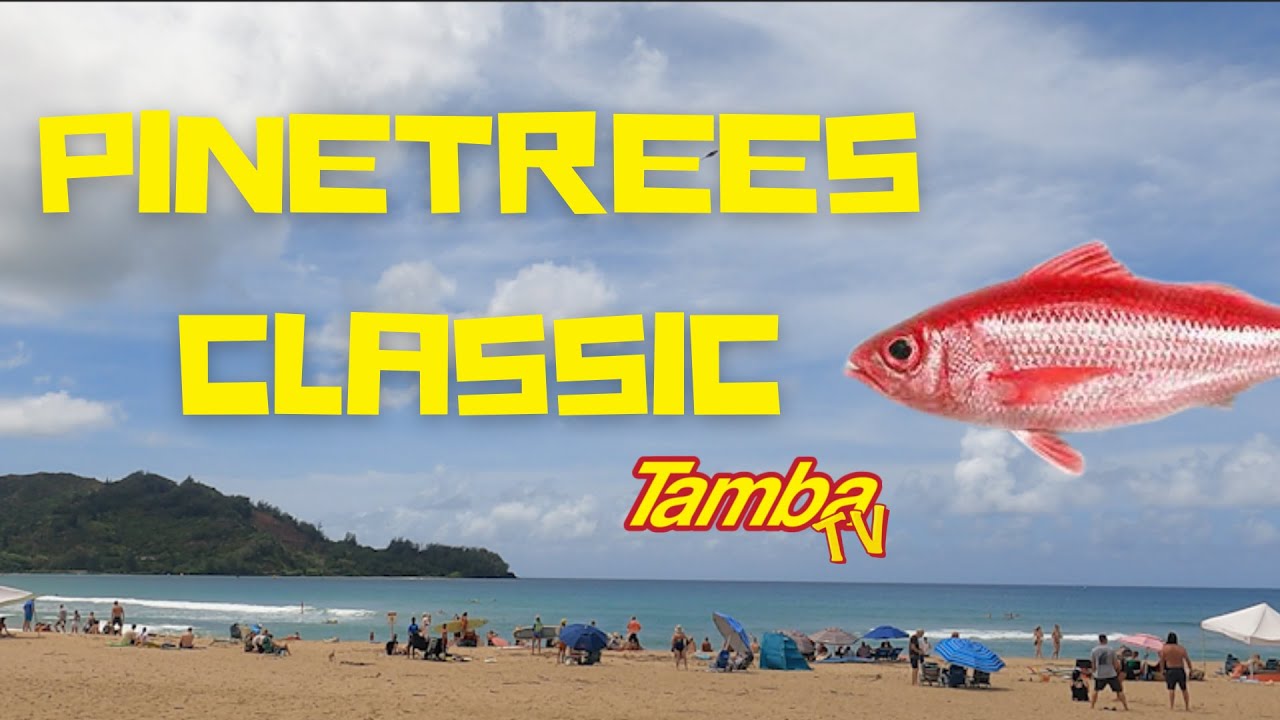 Heats from the 2022 Longboard Classic Hanalei Bay Kauai YouTube