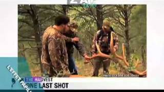 Zapping Du 31 Janvier 2011