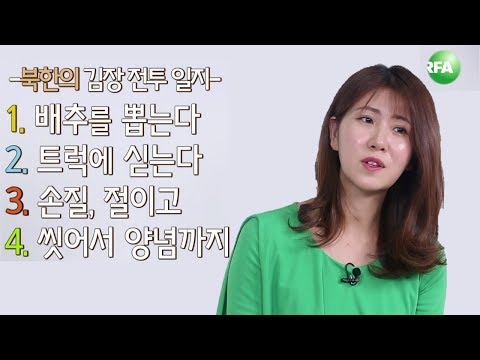 [남한말 북한말] 김장도 전투 - 남북의 김장, 한 집에 최소 500키로, 북한의 김장