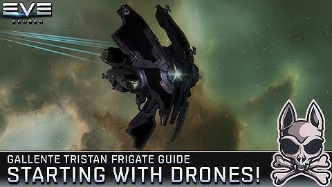 Getting Started With Drones!! The TRISTAN Makes For Easy Ratting!! || EVE ECHOES Final Test