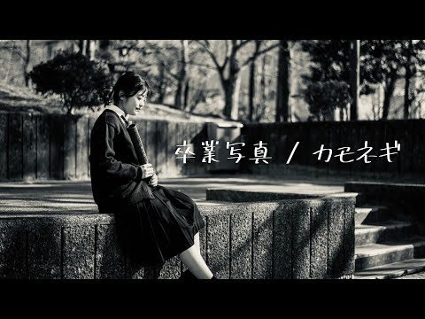 【カバーMV】卒業写真 松任谷由実 かもねぎ